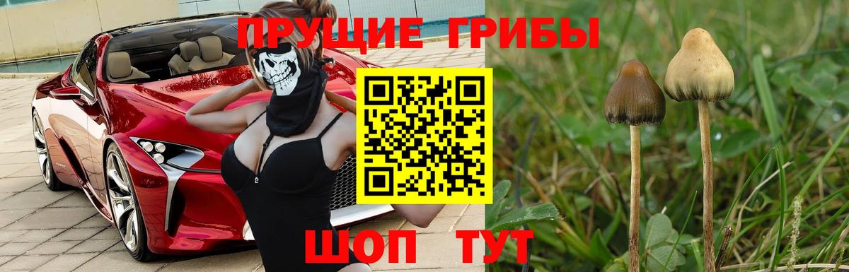 Карабулак  Галлюциногенные грибы мицелий  Галлюциногенные грибы Magic Shrooms  Вход с VPN 