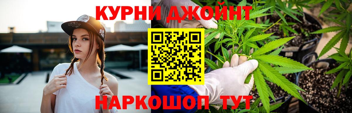 Канабис гибрид  Вход с VPN  Карабулак  Конопля ГИДРОПОН 